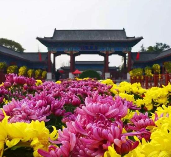 迪庆公园菊展施工